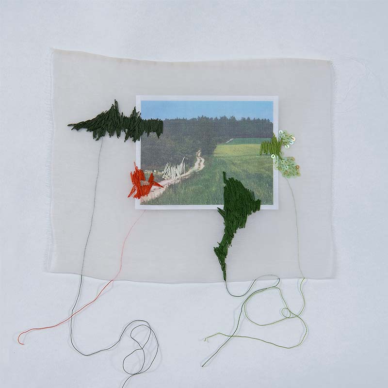2022-elisa-markes-young